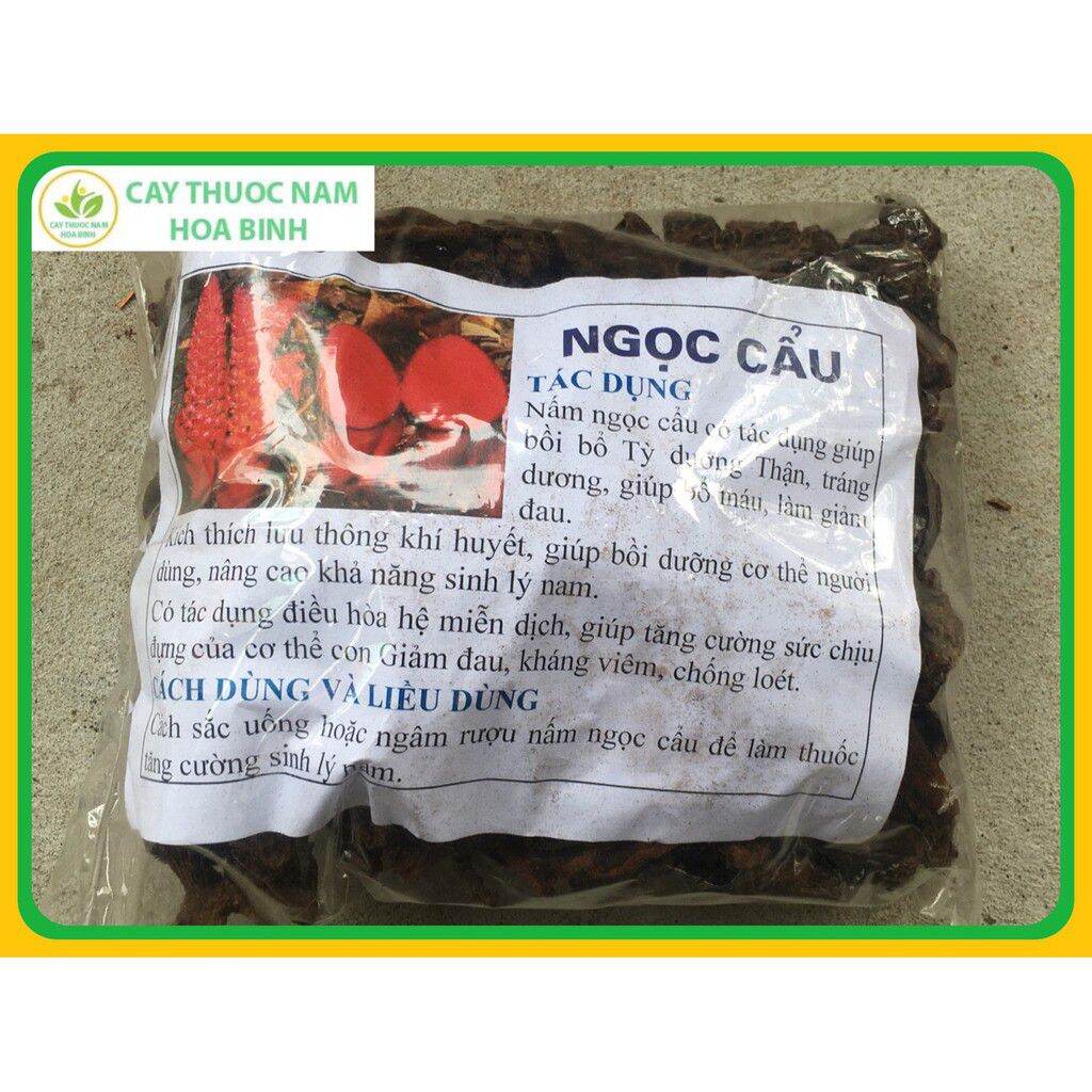 1kg Nấm ngọc cẩu rừng Hòa Bình nguyên búp cam kết khô, nguyên chất