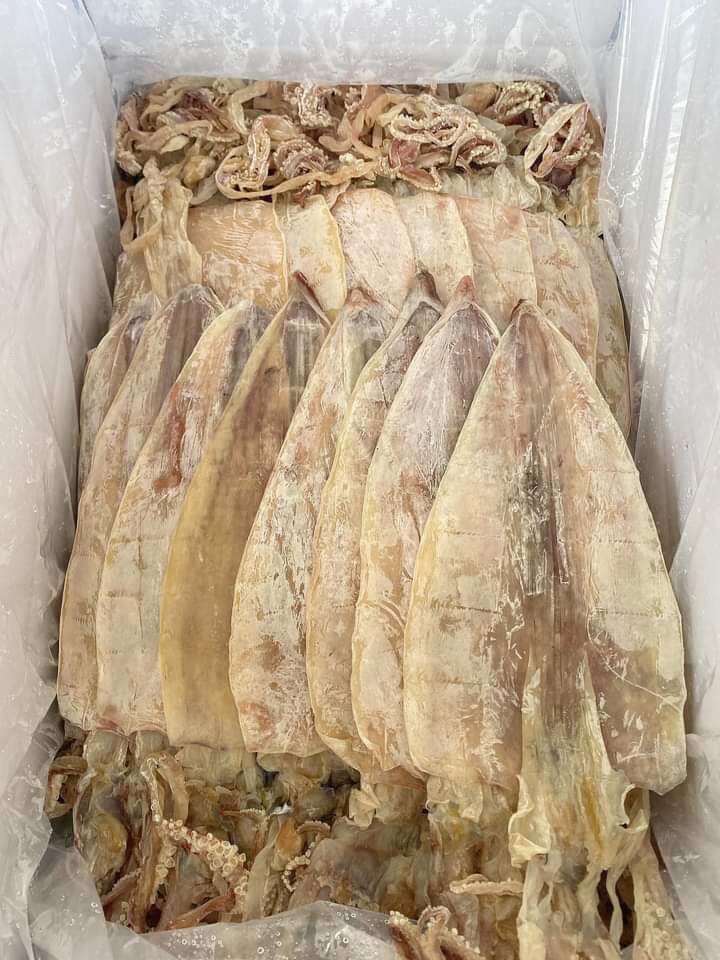 500G khô mực 9-10Con