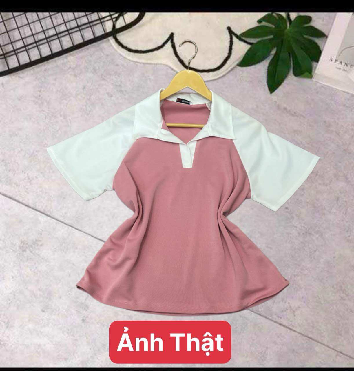 Áo Polo Cổ Bẻ Phối Màu Cá Tính Bigsize Nữ (68-95kg)