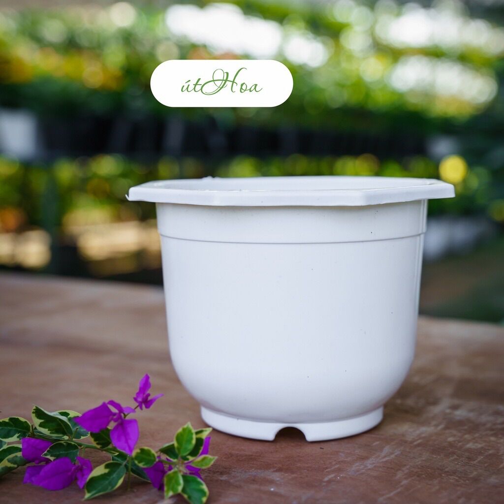 Combo 10 Chậu Treo Trắng Trơn (Kèm Dây Treo)