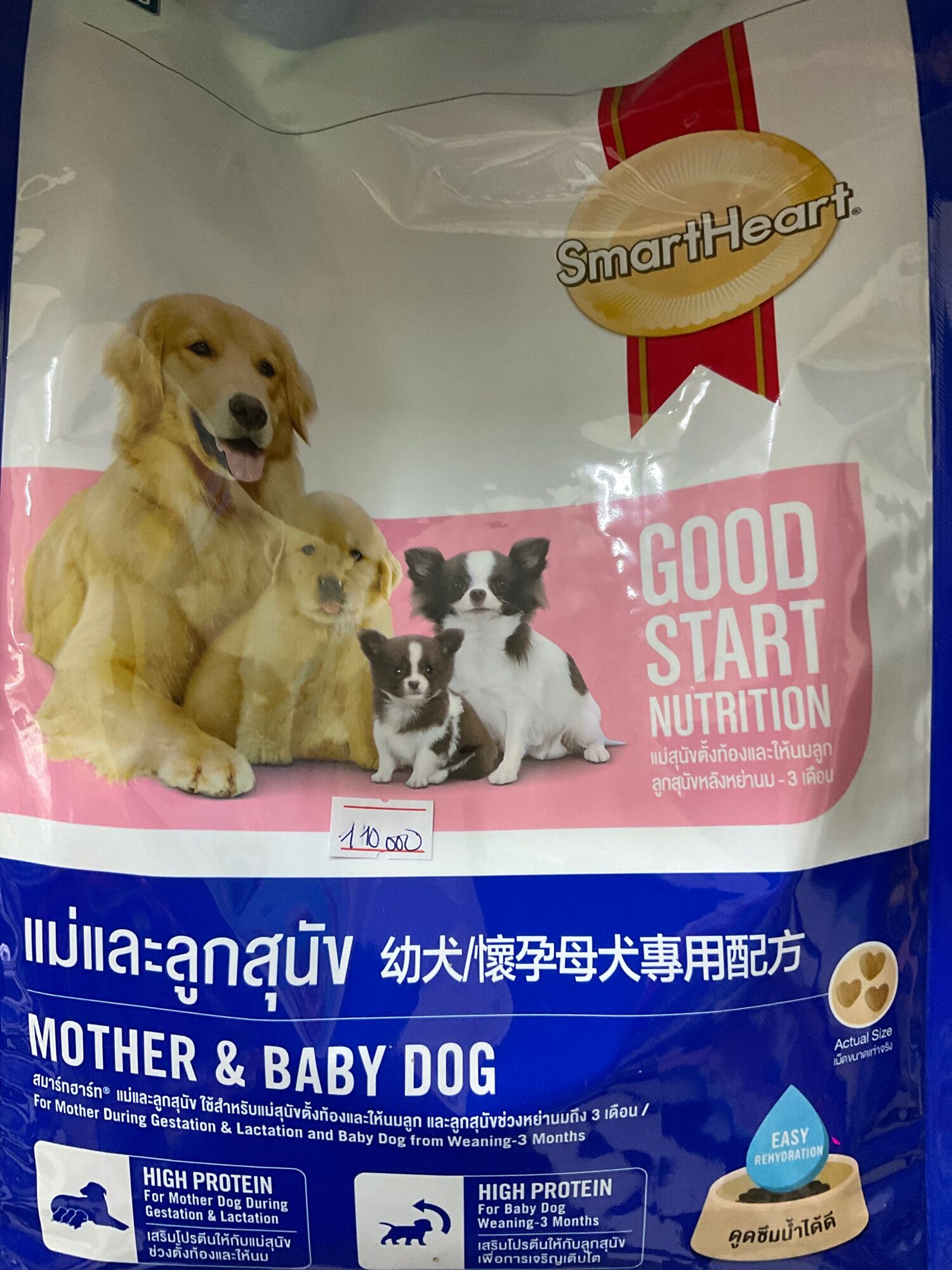 Thức ăn cho chó mẹ mang thai và cho con bú
