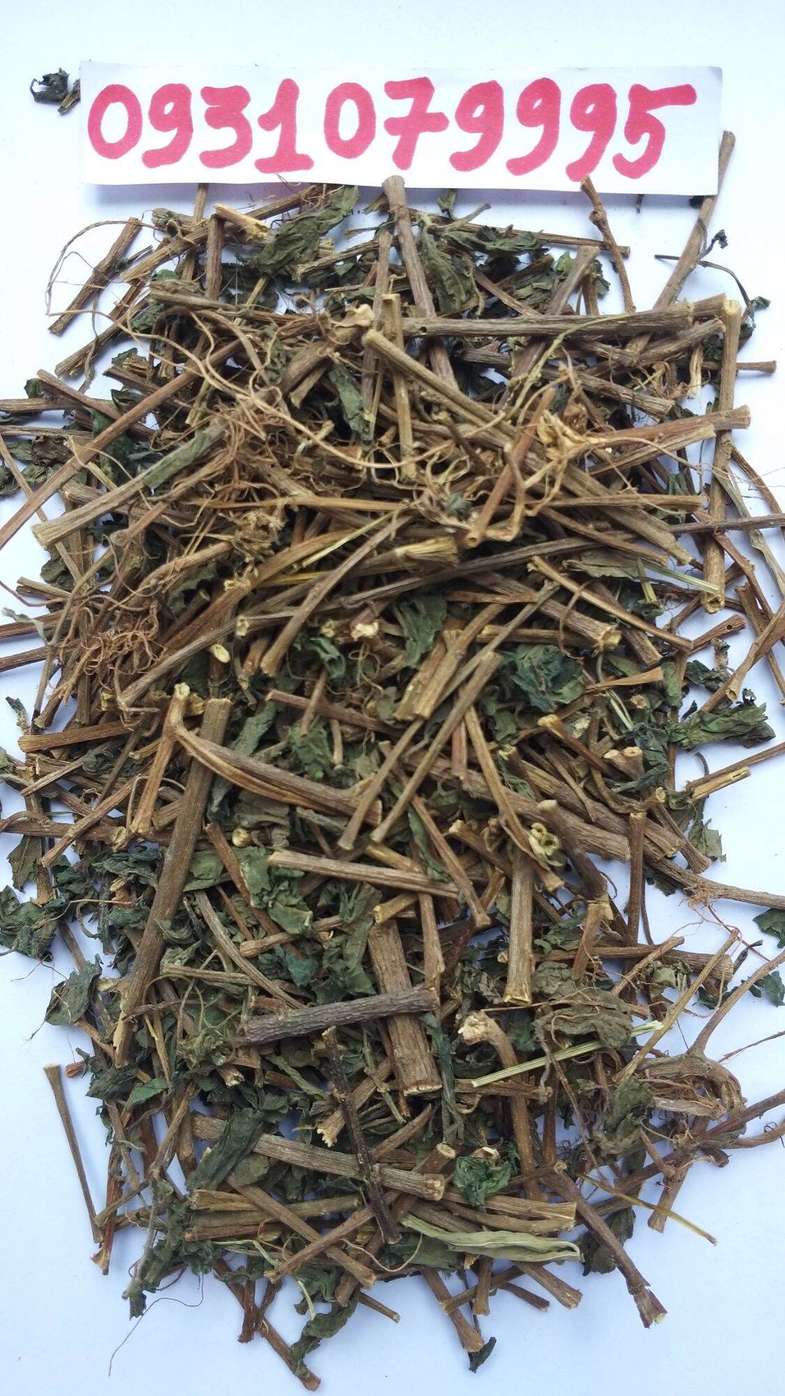 cây lá dòi - lá dòi tía phơi khô 1kg
