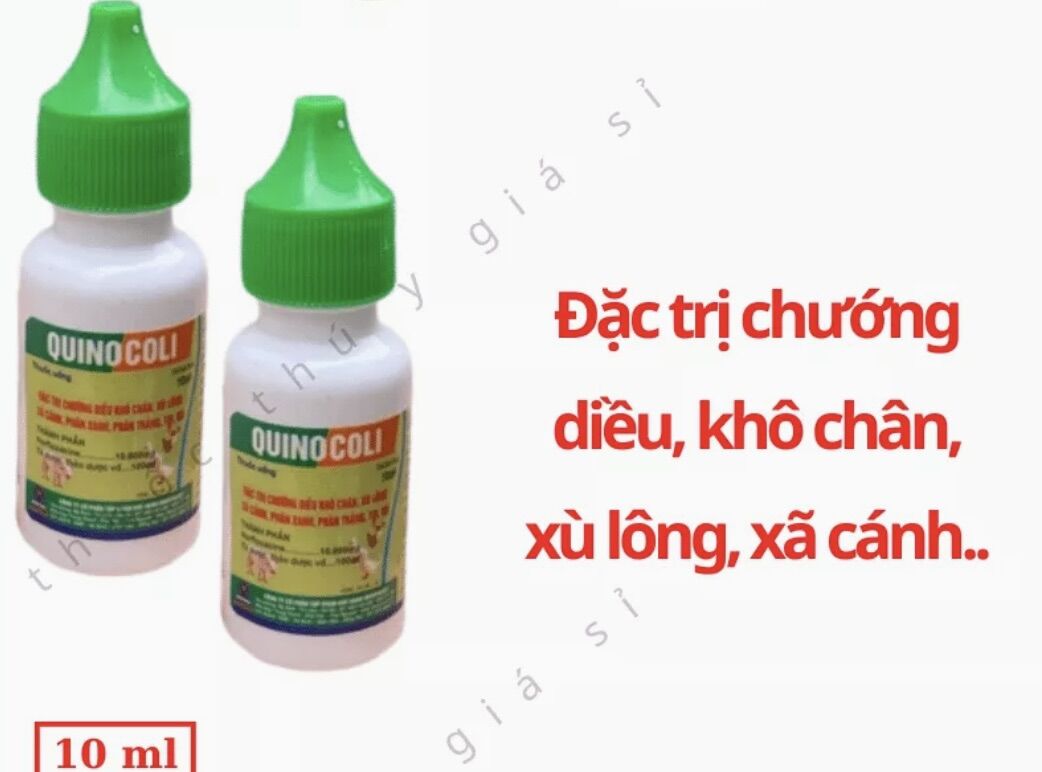 1 lọ Quinocoli 10 ml dùng cho gà vịt heo con thỏ.