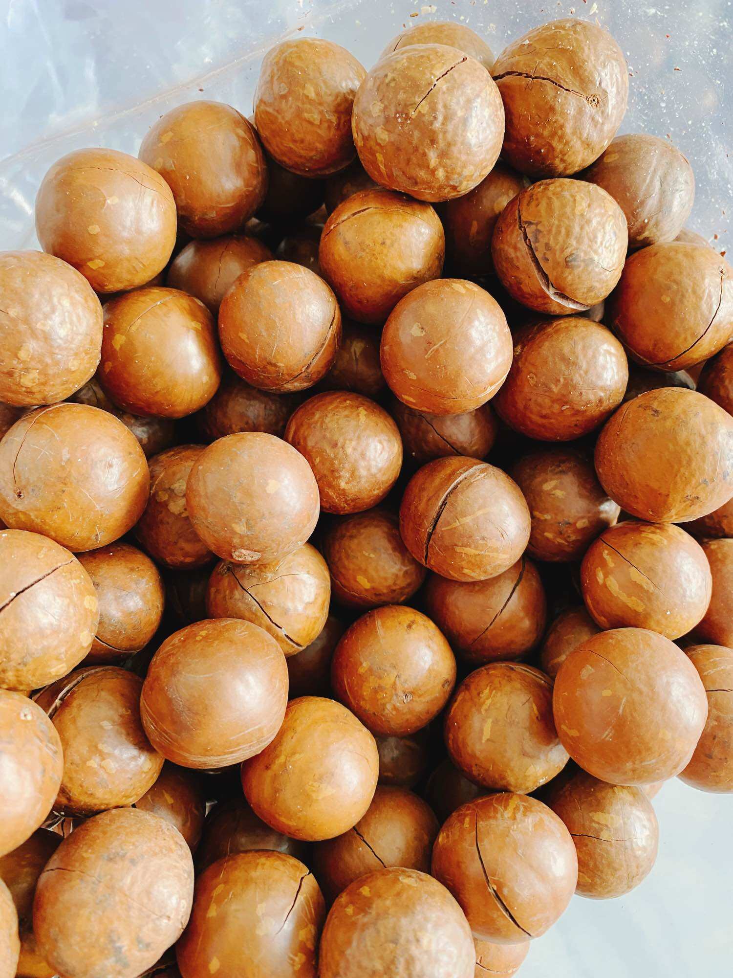 Hạt Macca nứt vỏ | 300-500gr | Đặc Sản Đà Lạt