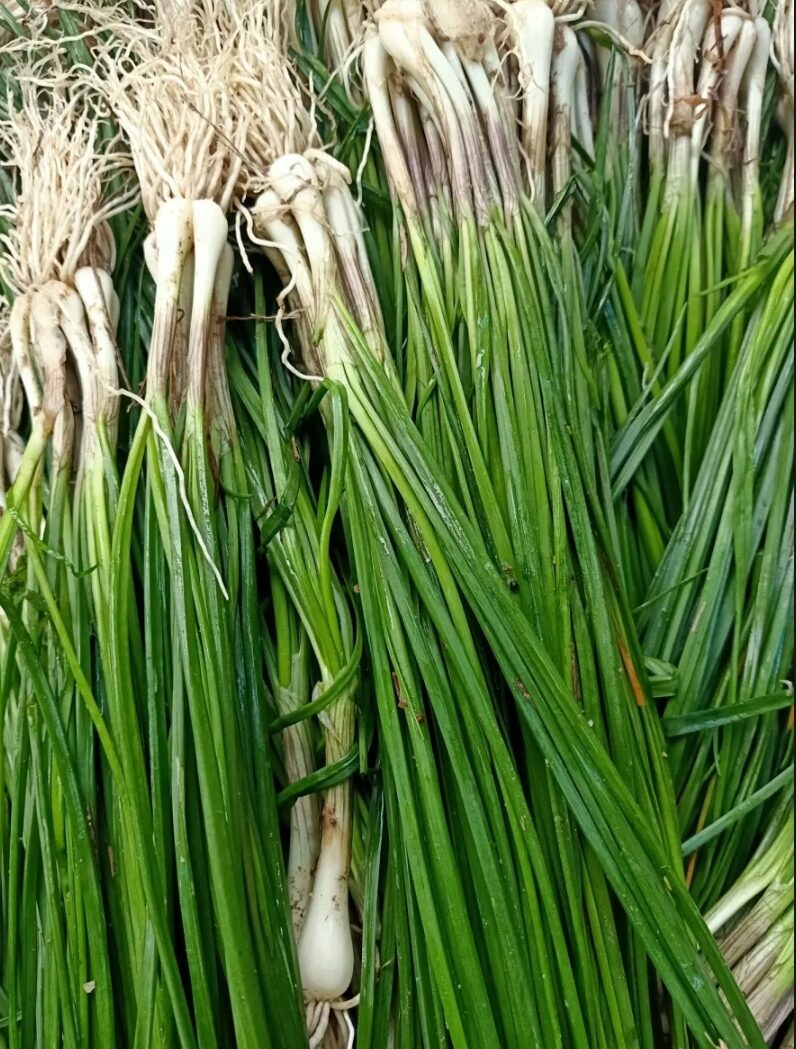1KG  CỦ KIỆU QUẾ CỦ TO ( ĐẶC SẢN HUẾ )