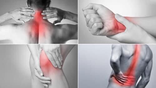 Cao ngựa xoa bóp Jacoby hàng Đức nội địa