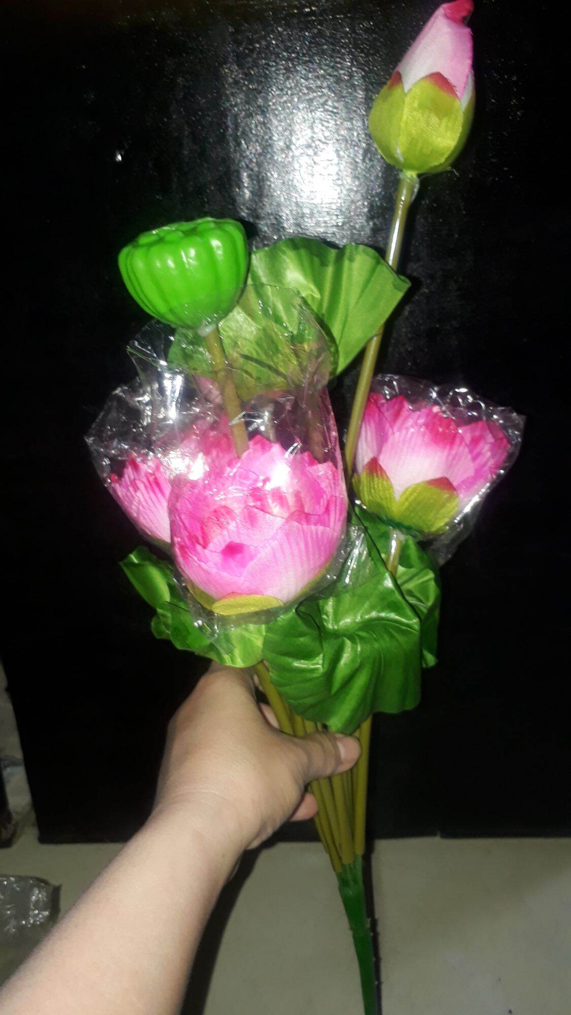 Hoa sen vải  gương sen nhỏ