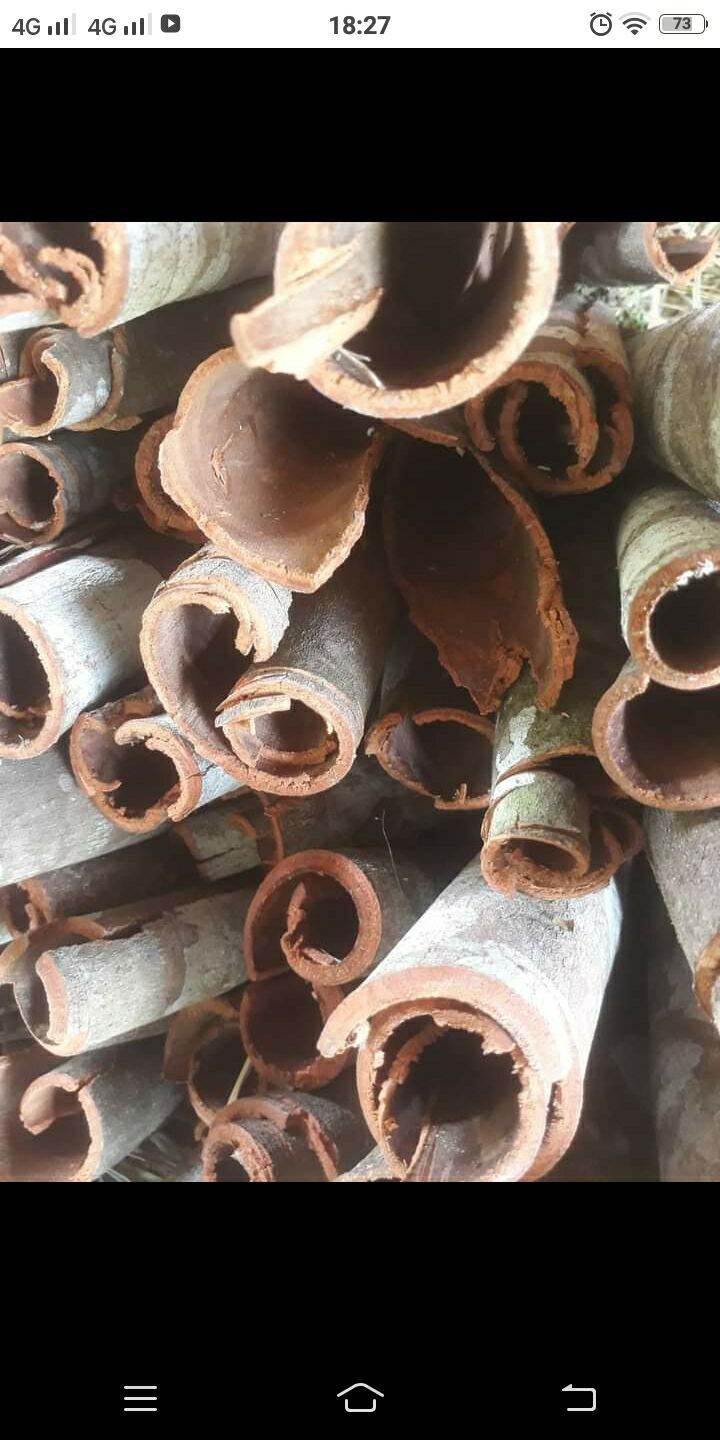 [ Shop Mới ] Quế Nhục - Vỏ Quế - Bột quế khô loại 1, thơm, sạch, mới ( 500g )