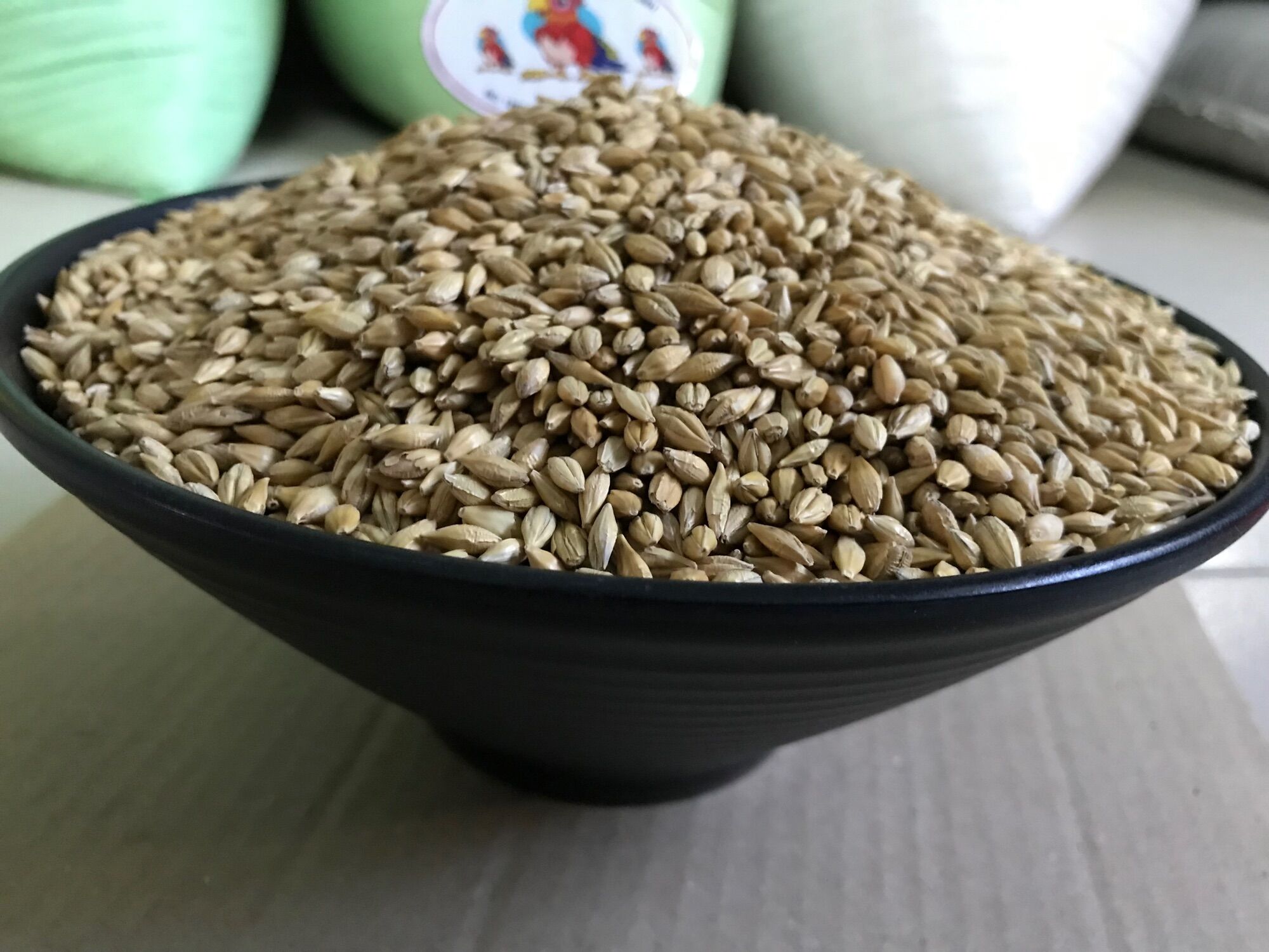 Lúa mạch (ĐẠI MẠCH-Gói 500Gram )THỨC ĂN DINH DƯỠNG GÀ ĐÁ & THÚ CƯNG..