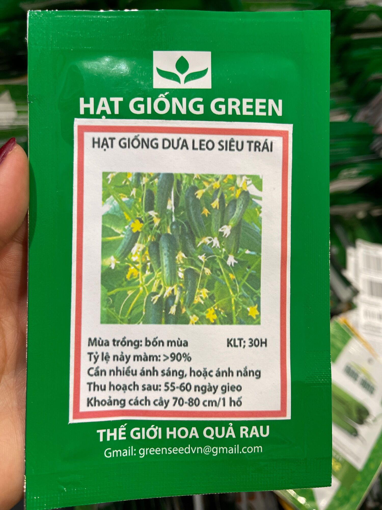 Hạt giống Dưa leo siêu quả (dưa chuột)-loại rau củ quả trồng quanh năm