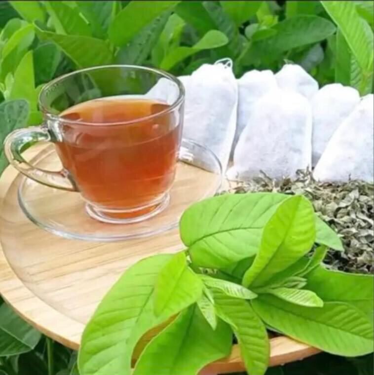 Trà Lá Ổi 50 túi lọc Giúp Giảm Cân