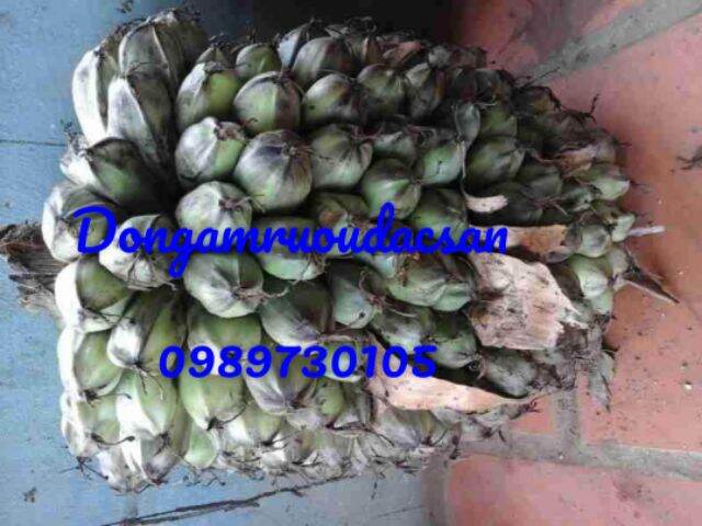 CHUỐI CÔ ĐƠN RỪNG KHÔ 1KG