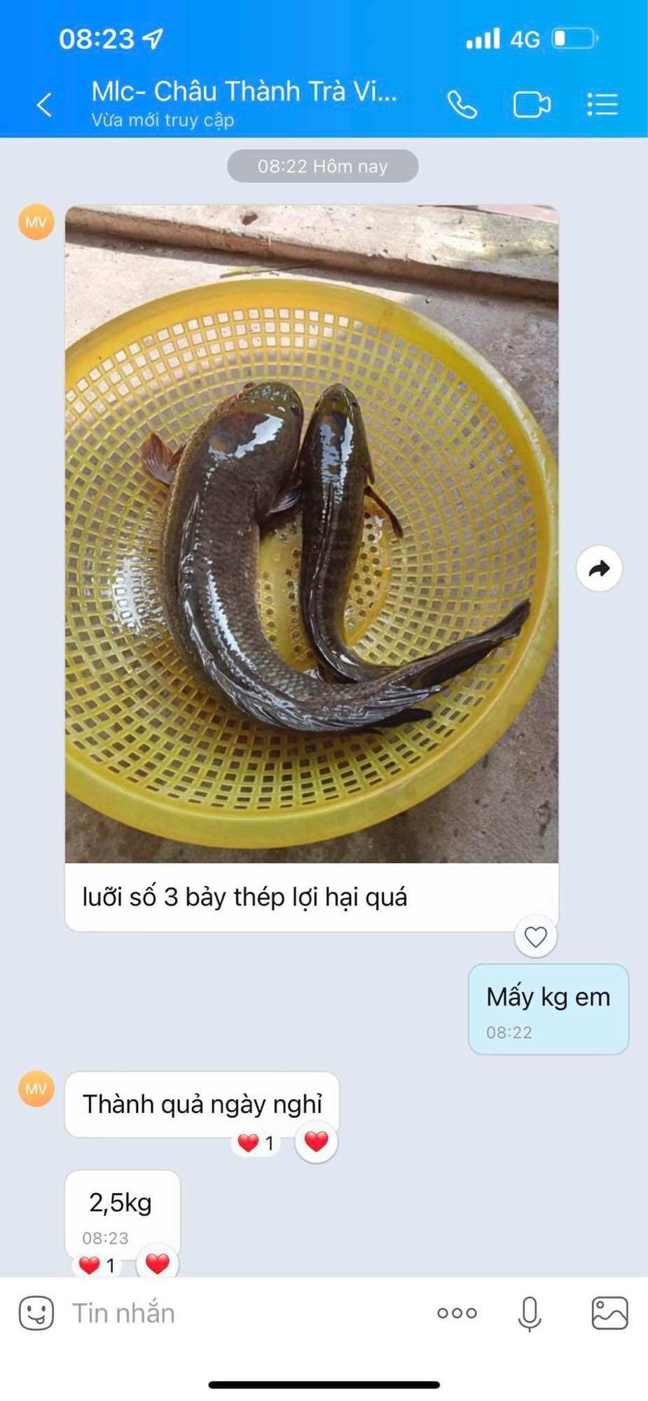 Lưỡi câu lure cá lóc, mẫu số 3 siêu nhạy