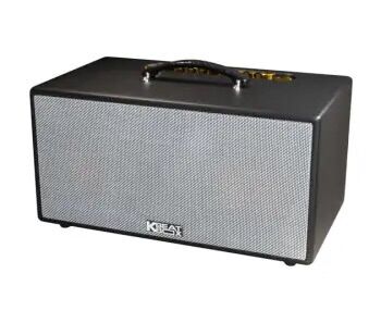 Loa karaoke xách tay Acnos CS450 (2 loa bass, 3 loa treble, 150W)