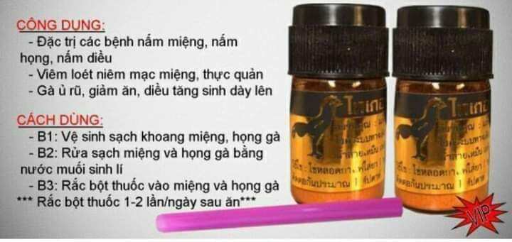 C hữa nấm họng, nấm cóc hầu nặng ở gà chọi 📲 0816.193.888