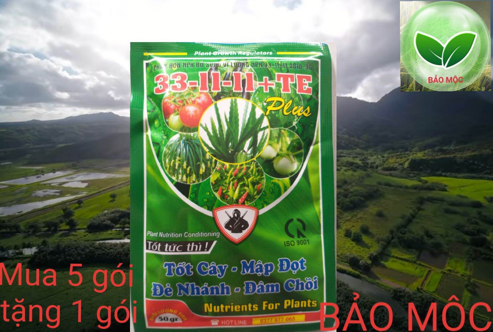 Siêu ra đọt - mập đọt - lá xanh - mướt lá - to lá