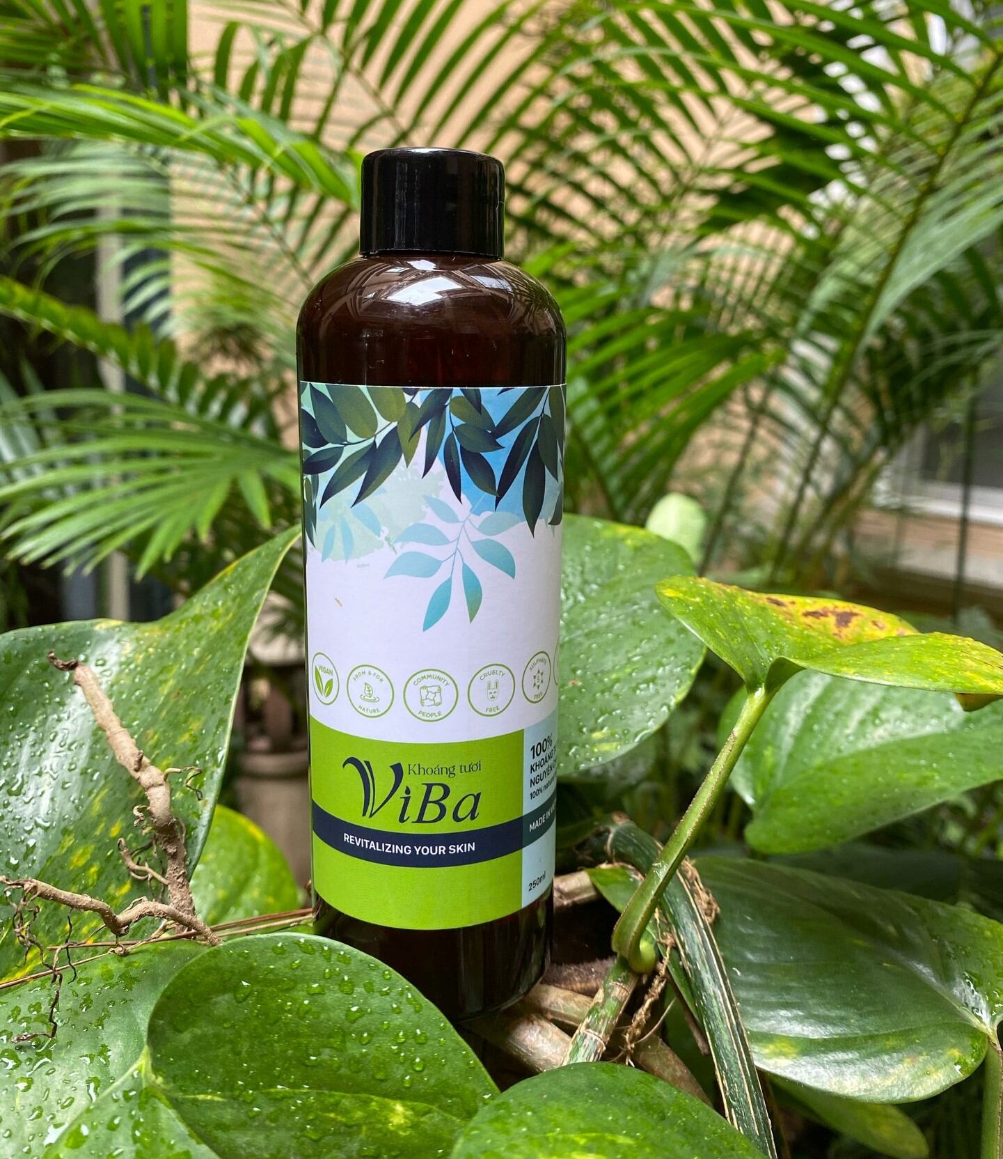 Khoáng tươi viba 250ml