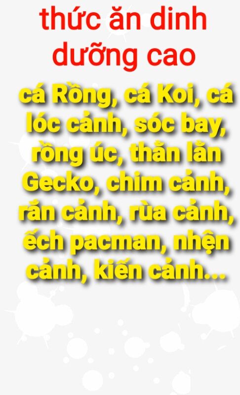 50 cặp gián Dubia size sinh sản. Quý khách nhớ thu thập Freeship Max để được giảm ship.