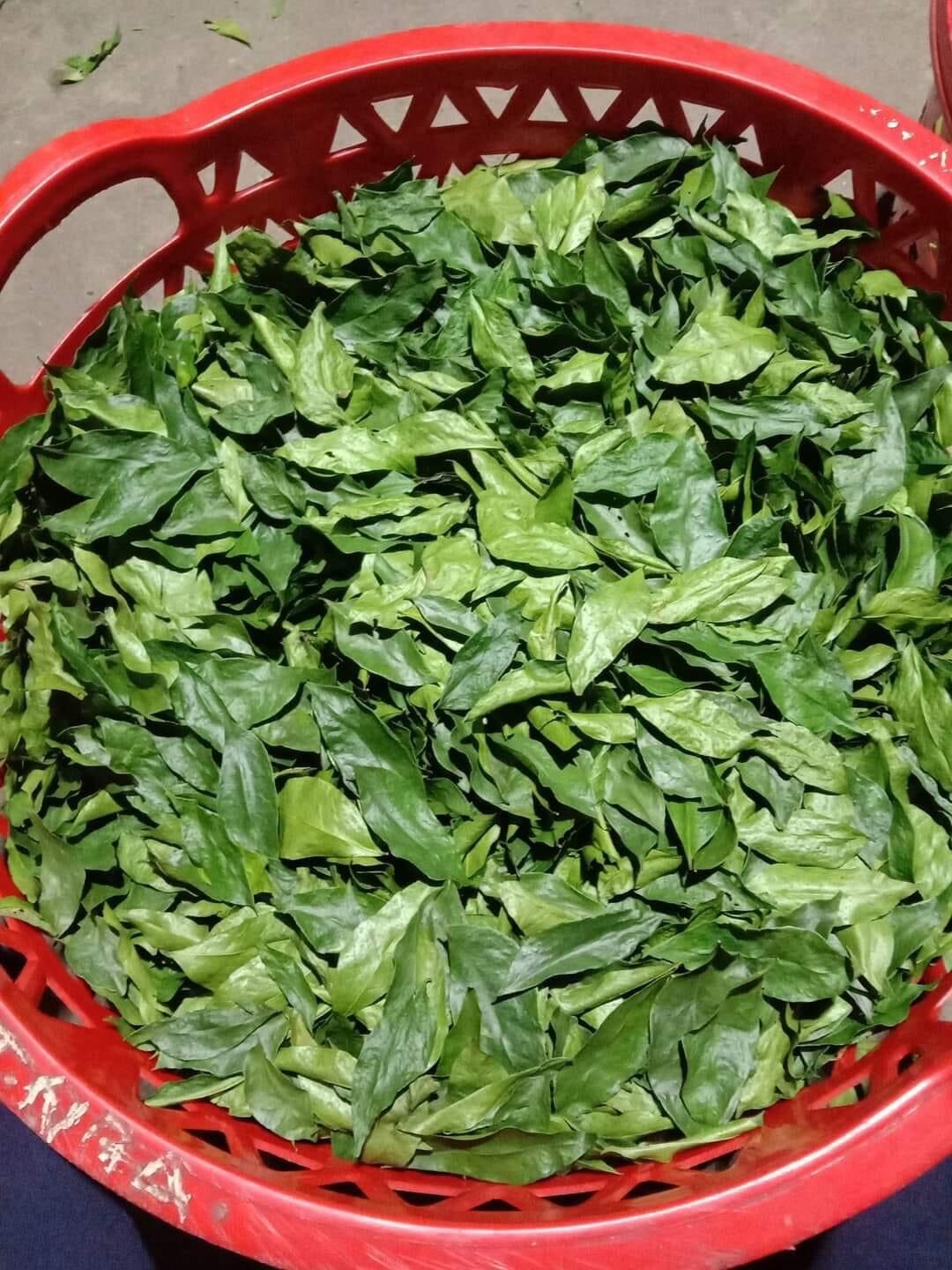 1 kí lá mắc mật sấy lạnh