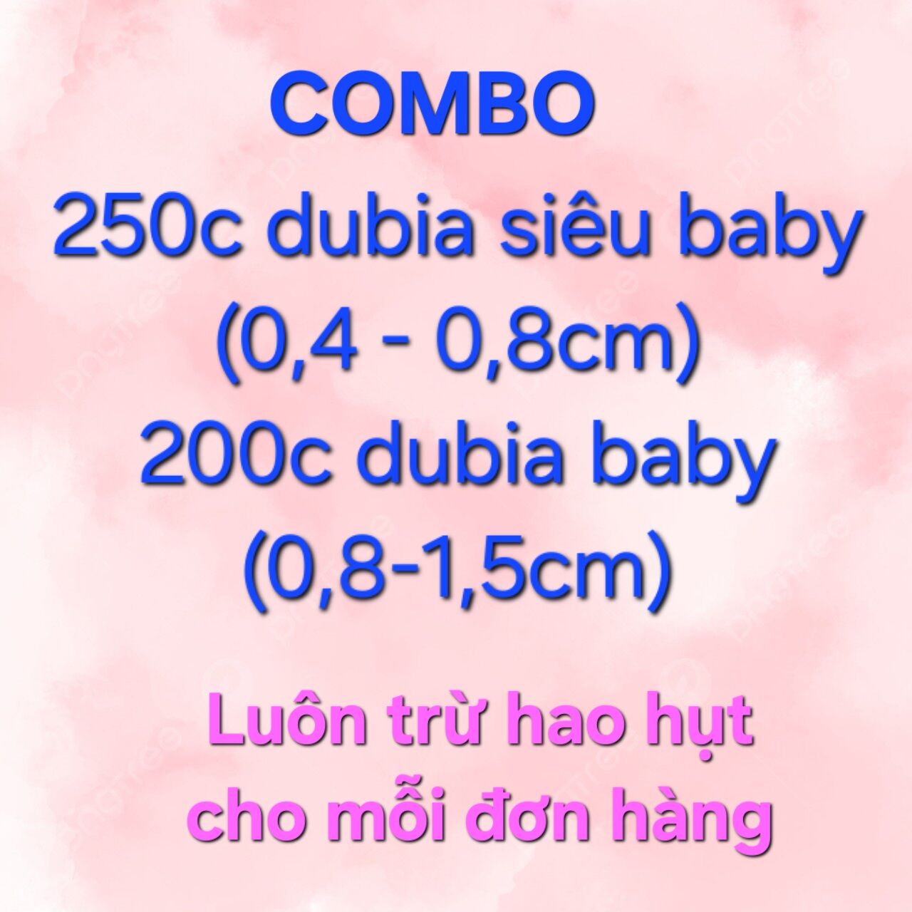 Combo 2 cỡ giá.n dubia siêu baby và baby