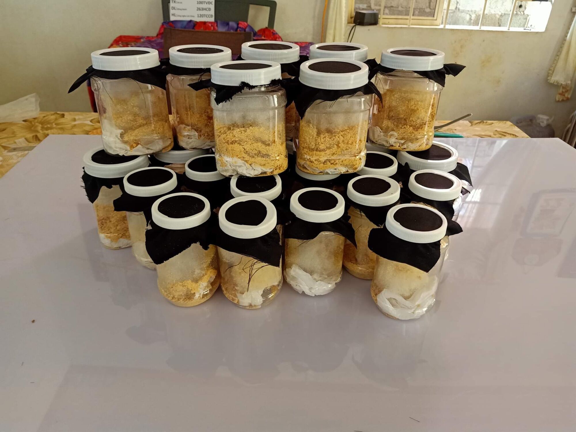 Trứng ruồi lính đen hộp 10gram x 50.000 vnđ