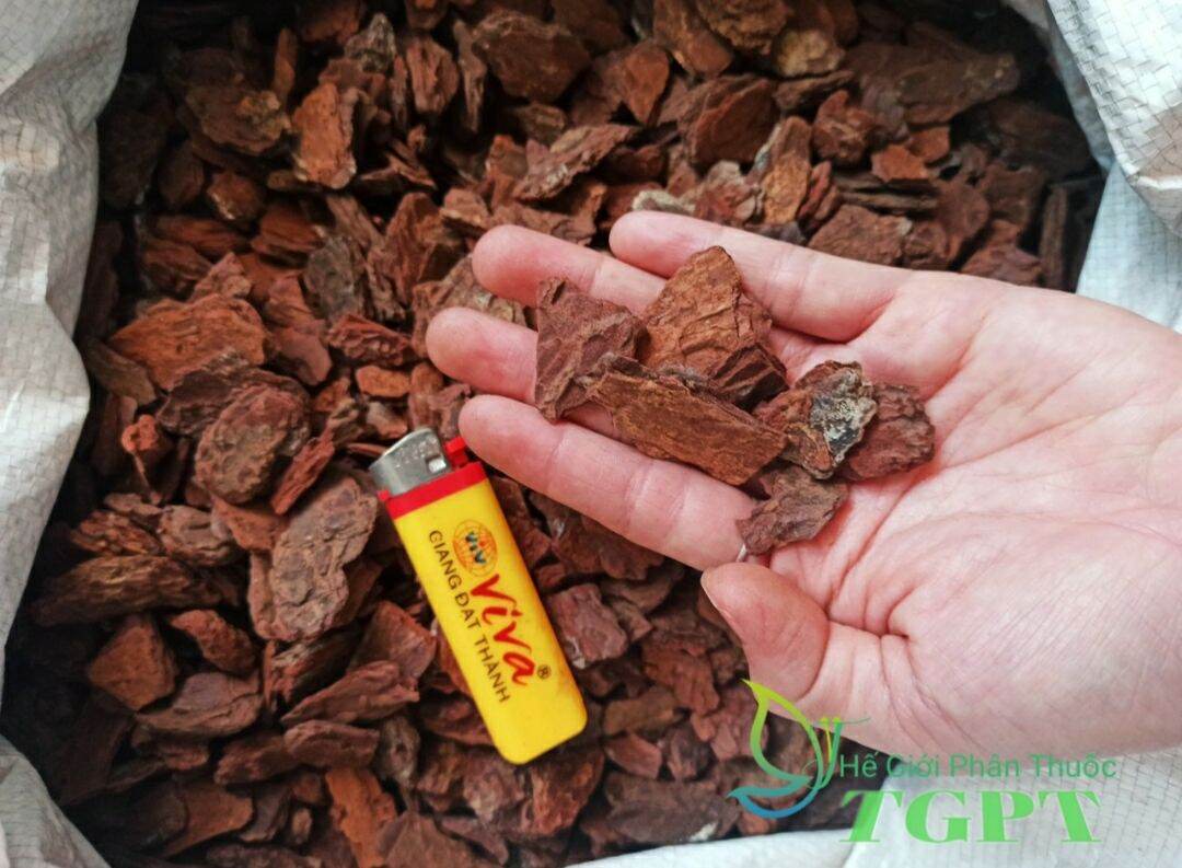 Vỏ thông xay bo size 2-3cm túi 1kg