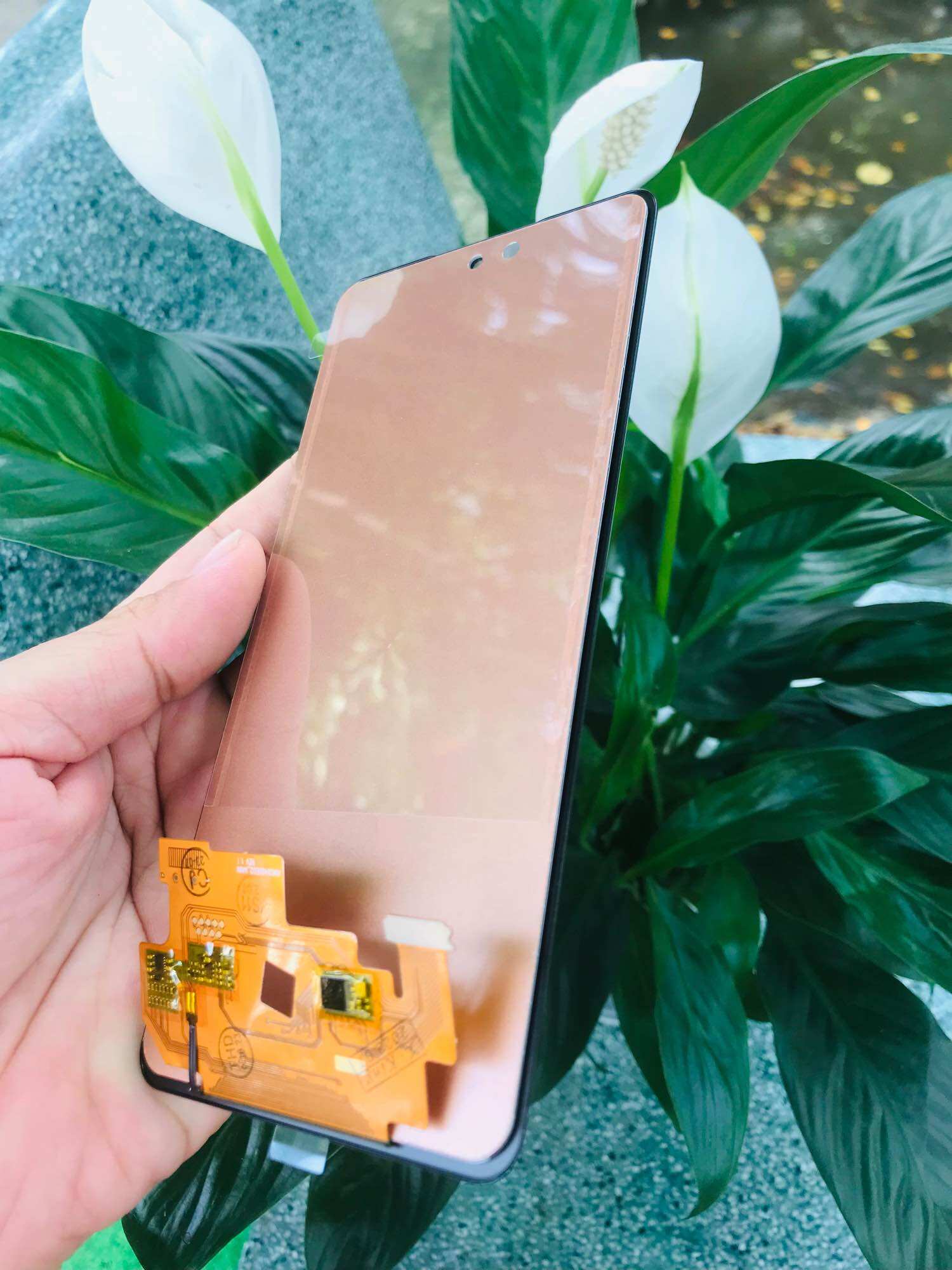 Màn hình Samsung A53 5G công nghệ mới