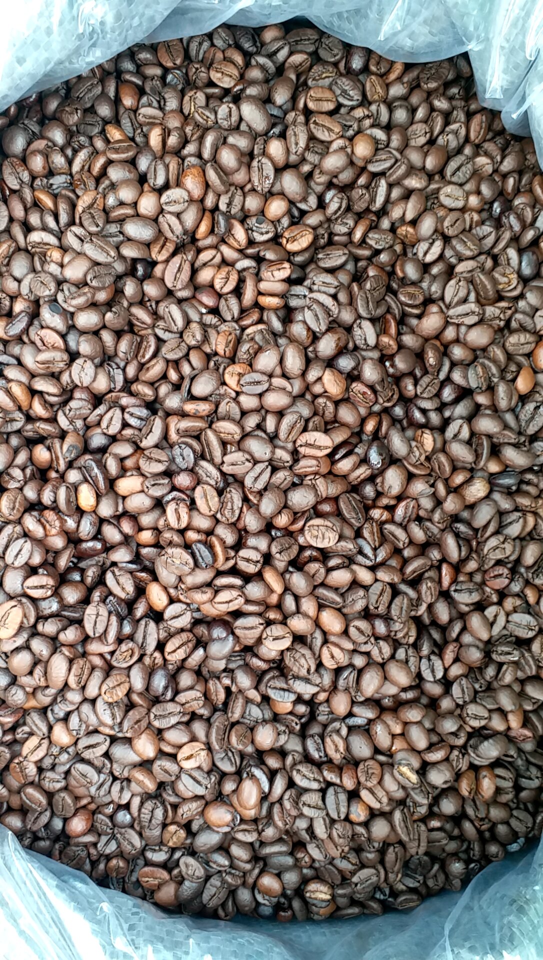 CÀ PHÊ HẠT Robusta S18 rang moc pha phin