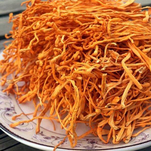 1kg đông trùng hạ thảo