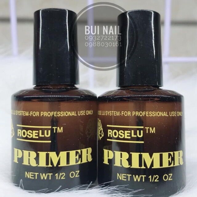 PRIMER LIÊN KẾT ĐẮP BỘT