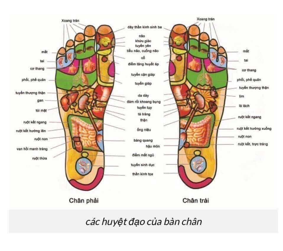 Dầu xoa bóp bàn chân thái lan