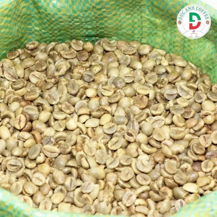 cà phê nhân sống chưa rang Robusta Buôn Ma Thuột - 300g
