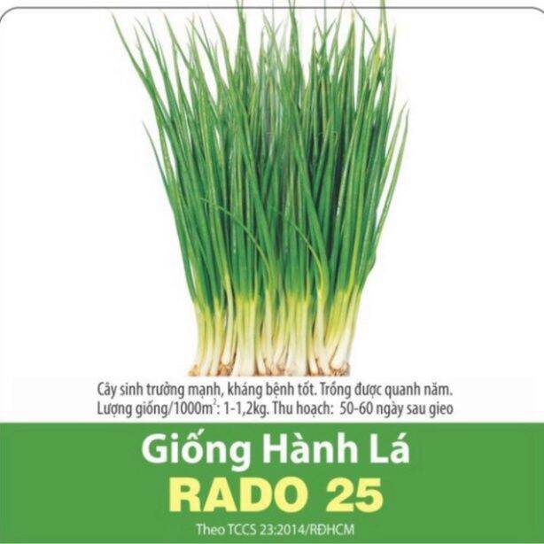 Hạt Giống Hành Lá Cao Sản