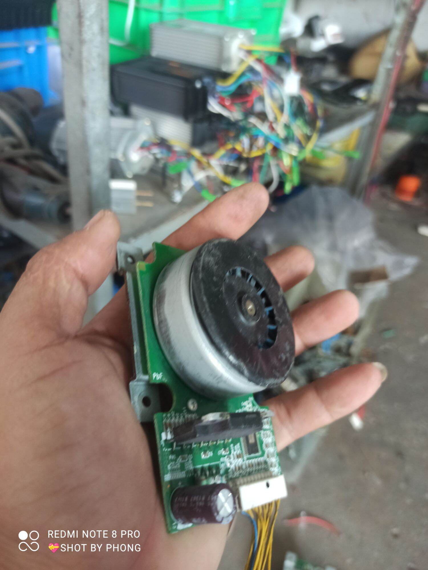 combo 5 motor Brussels cốt 6mm