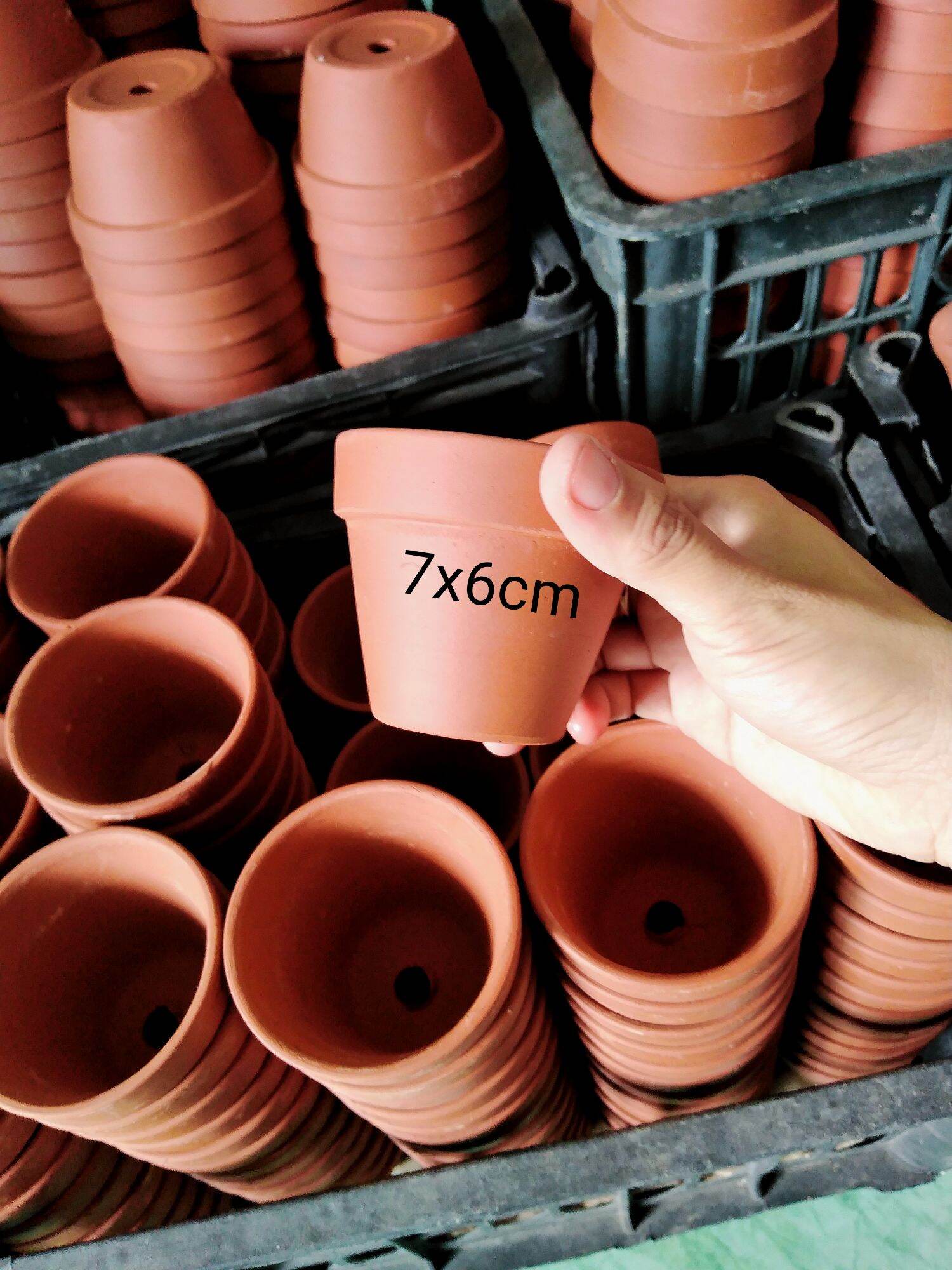 Combo 60 chậu đất nung 7x6 cm và 7x4 cm khách đặt