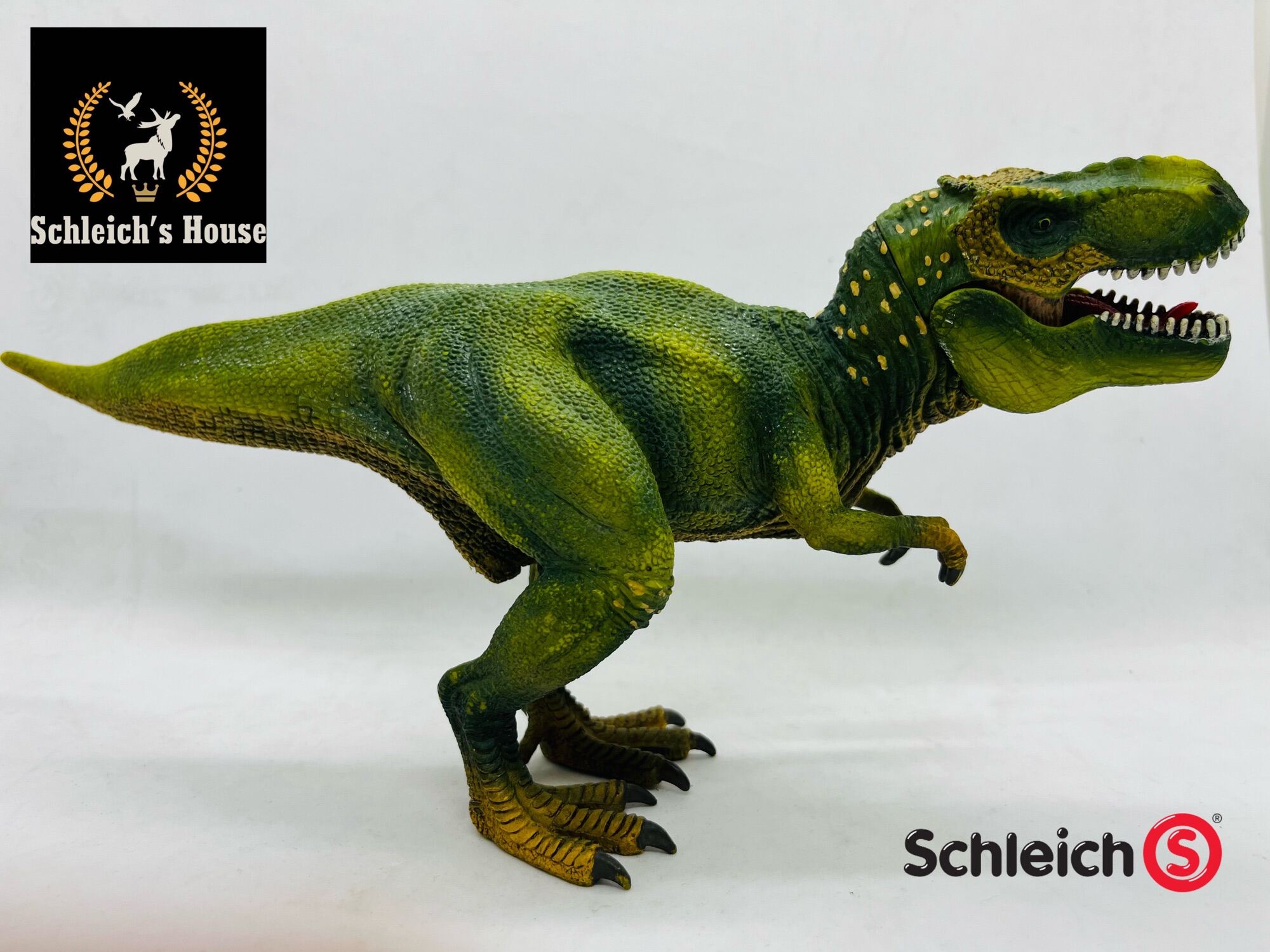 Mô hình khủng long Tyrannosaurus RexNâu DINOS PARTY BG6014A1