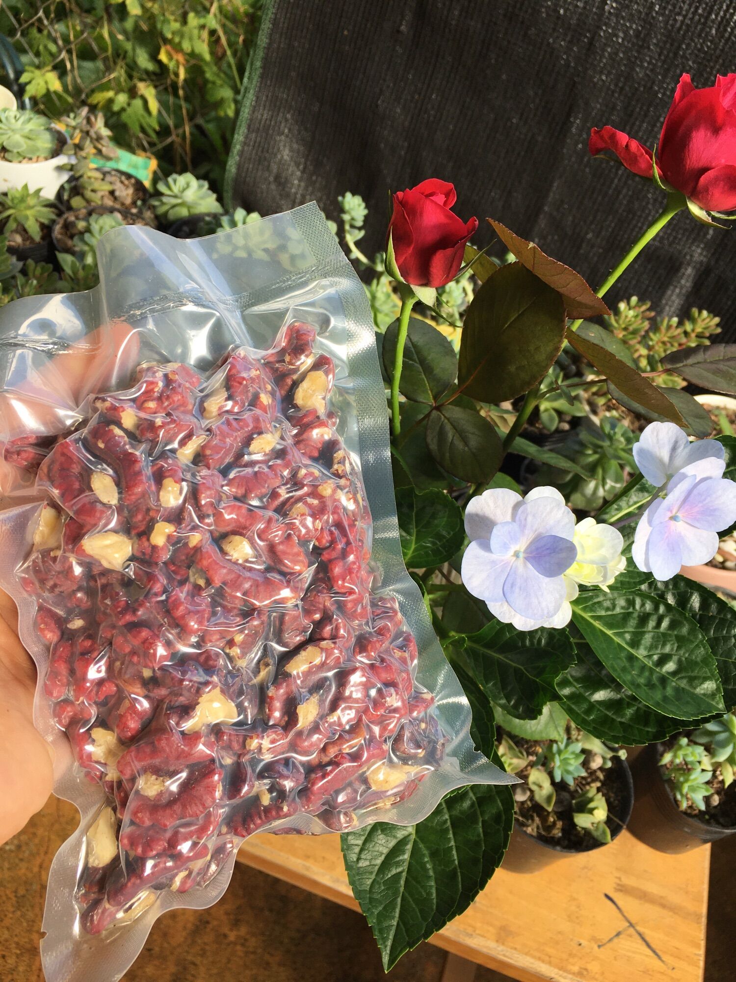 Nhân Óc chó đỏ Hảtley Mỹ 500gr _ Hàng nhập khẩu