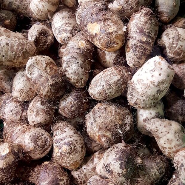 Khoai môn(sọ)-1Kg