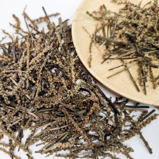 Bông mã đề ( xa tiền tử) thanh nhiệt 300g