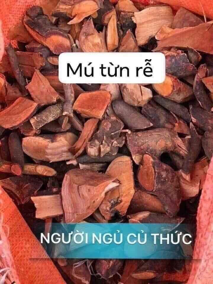 Mú Từn tươi ( Tứn Khửn) 200k/3kg