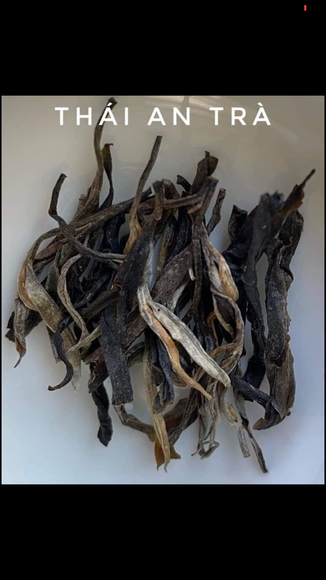 Phổ Nhĩ Sống Thái An