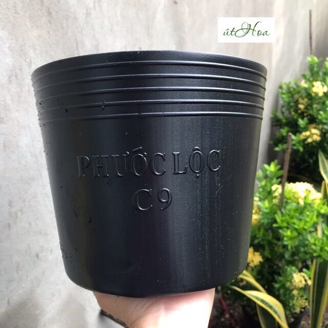 50 chậu nhựa đen C9 trồng cây kiểng, trồng hoa, trồng rau (dày)