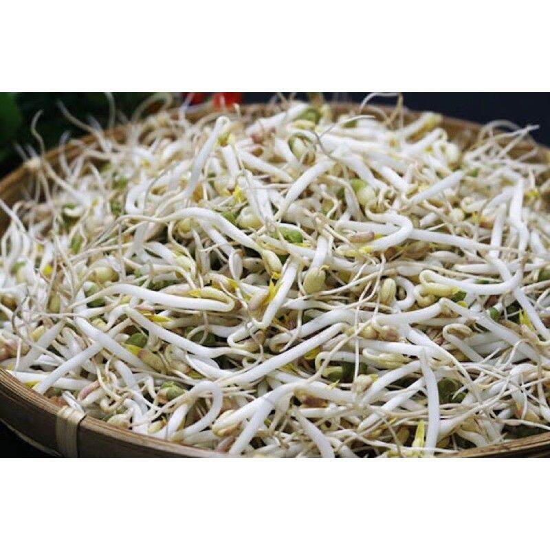 500Gr Đậu Xanh Nguyên Hạt Đắc Lắc