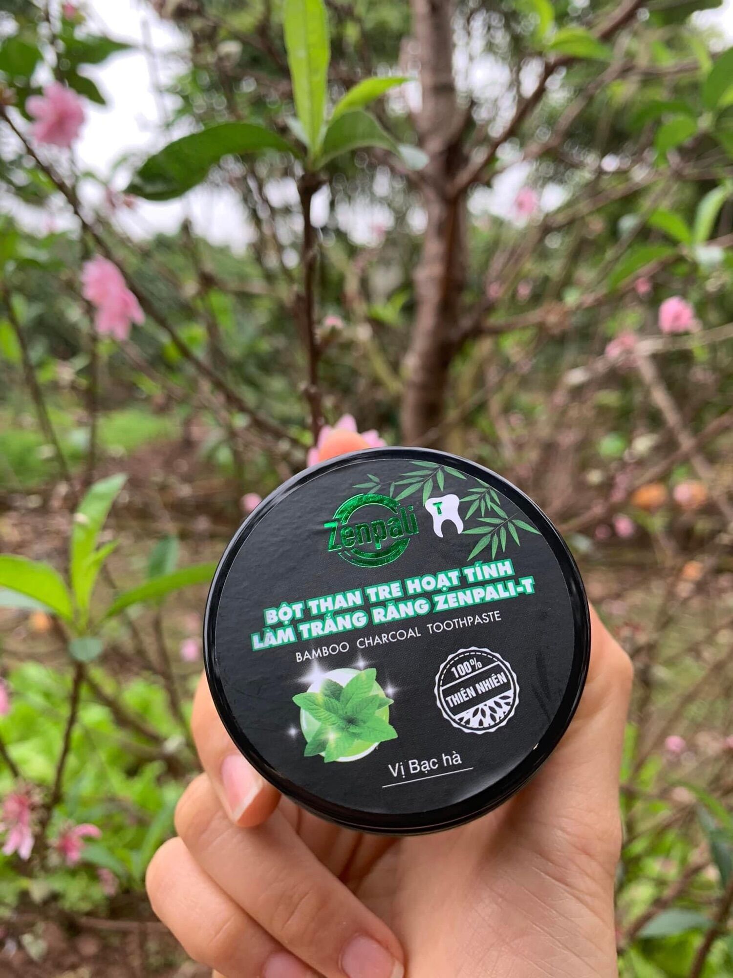 Bột Than Tre Hoạt Tính Trắng Răng Zenpali
