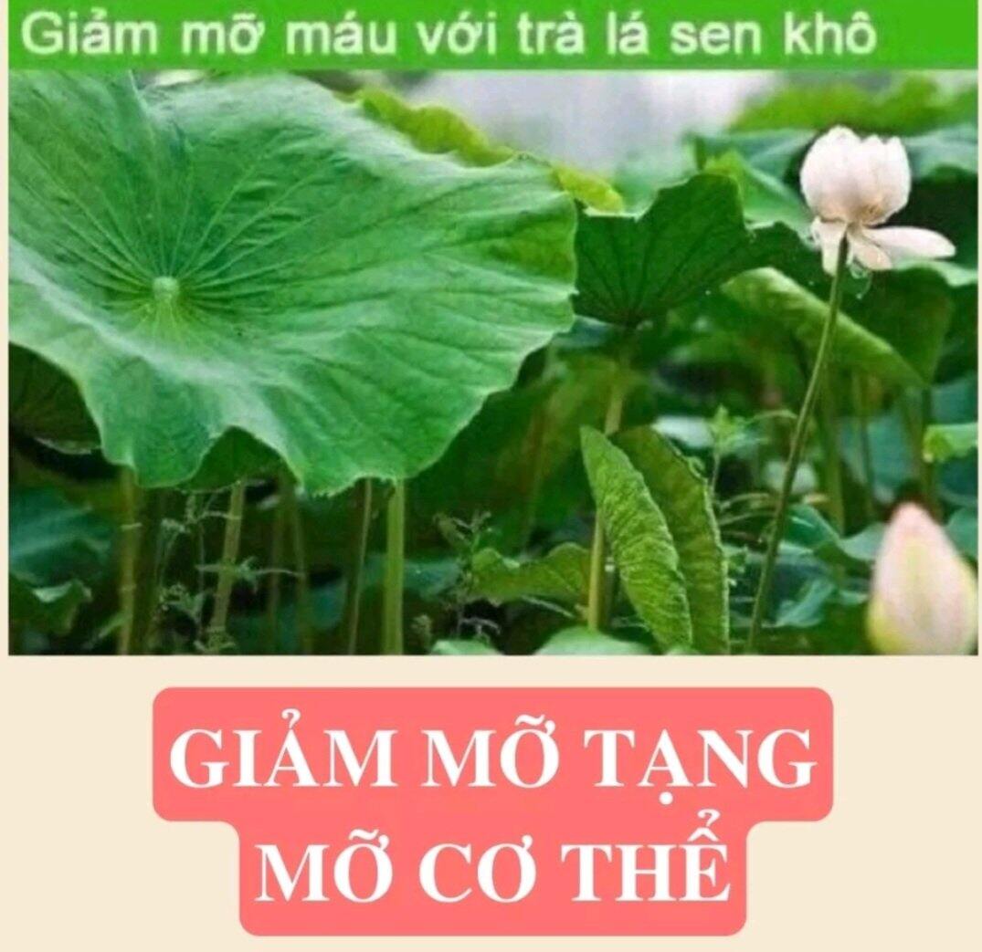 Lá sen khô 1 kg hàng loại 1 xanh, thơm, sạch