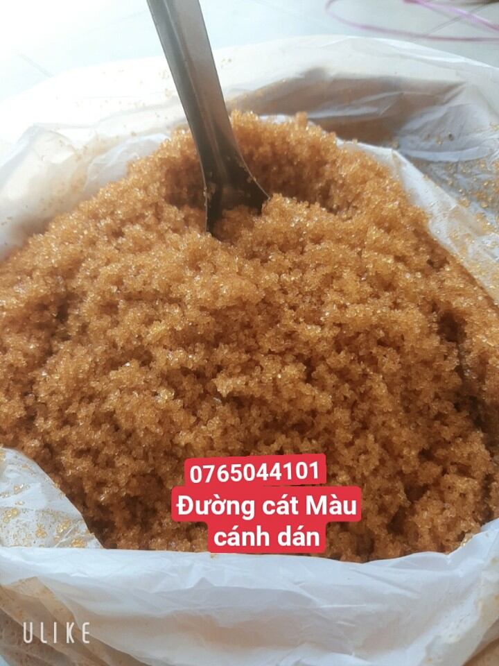 đường cát lựa chọn theo sở thích