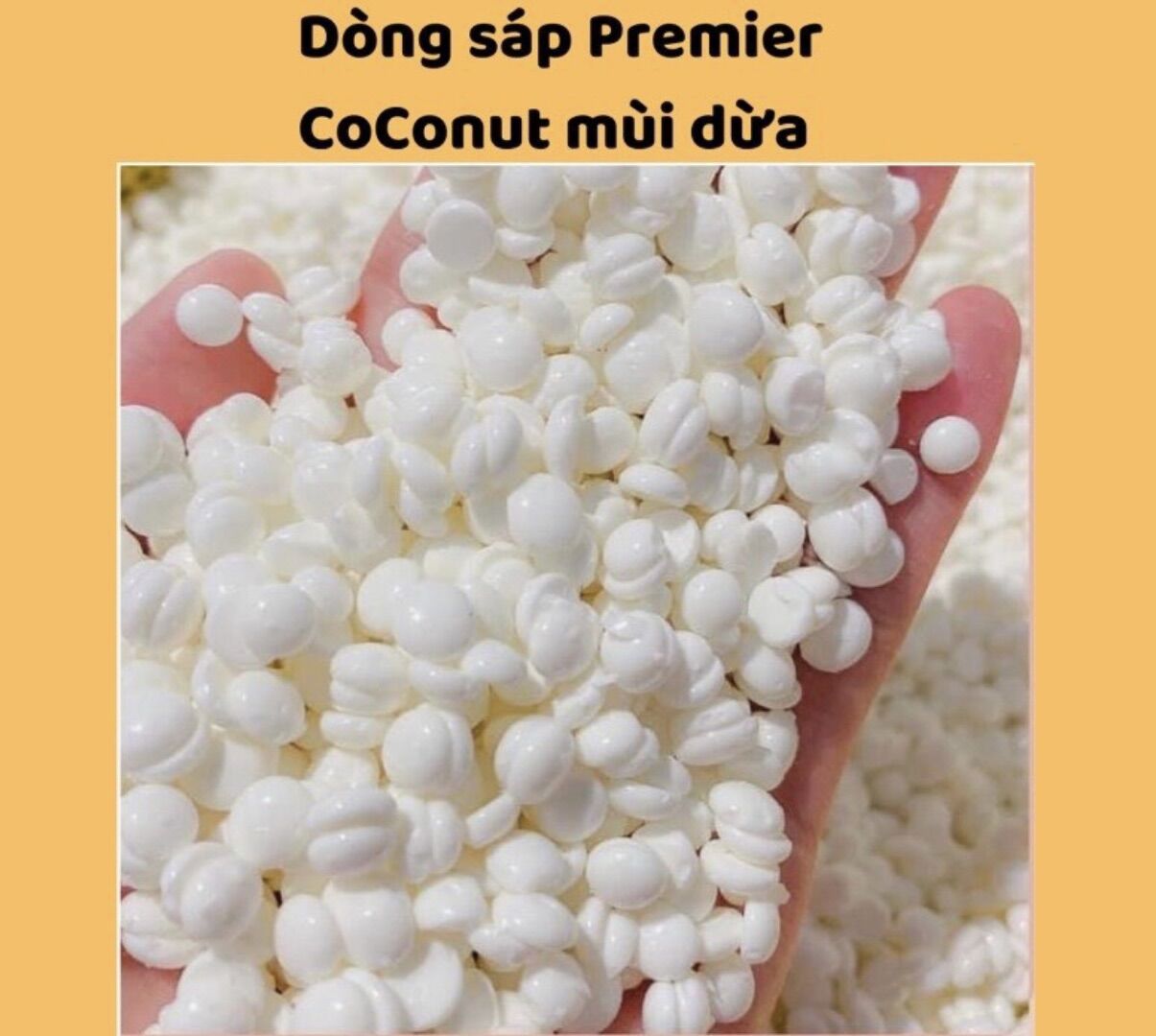 Sáp wax lông mùi coconut dừa siêu bám lông premium - tặng que gỗ quết sáp