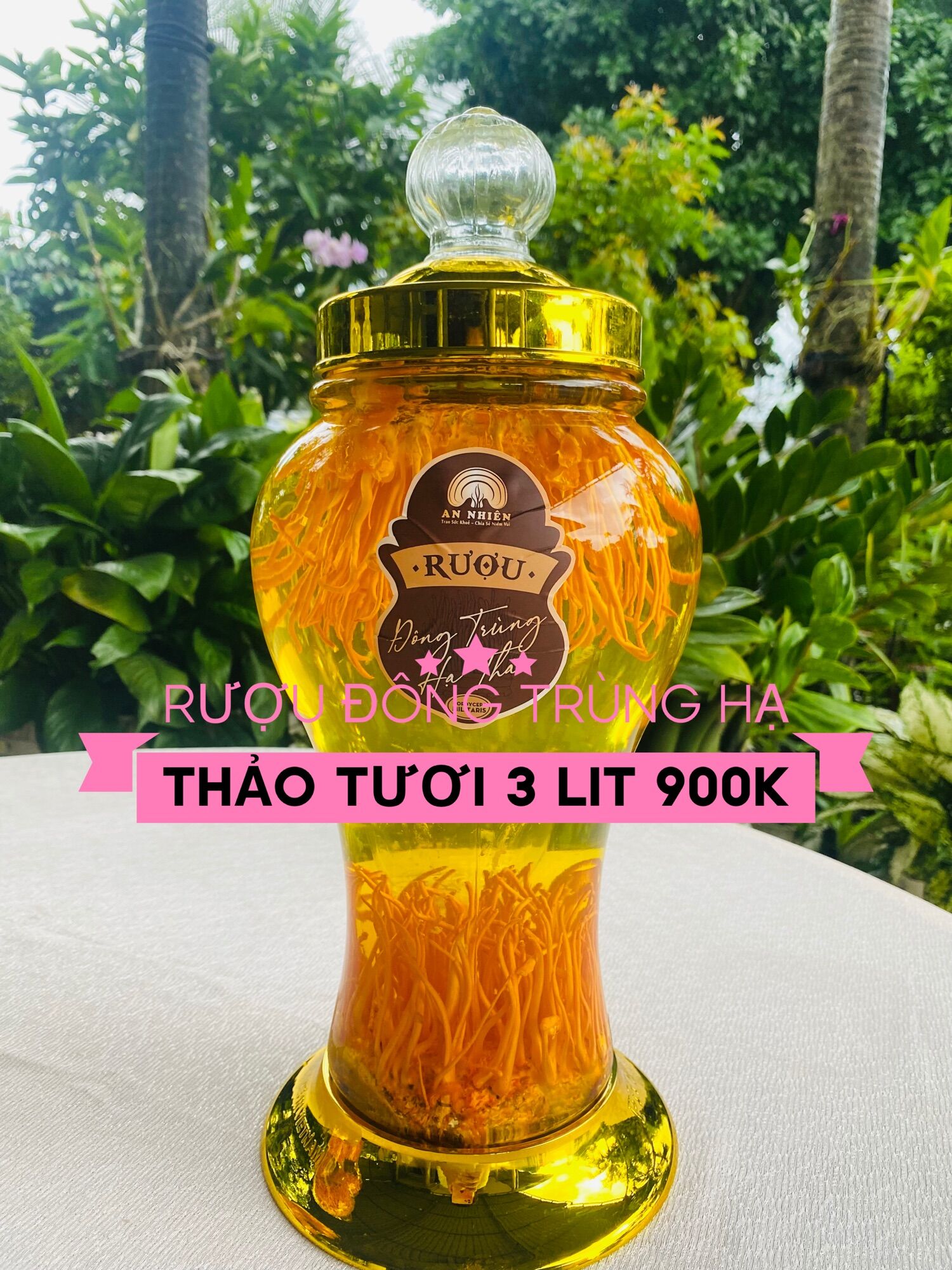 Bình đông trùng hạ thảo ngâm r. ư. ơ. u 3 lit