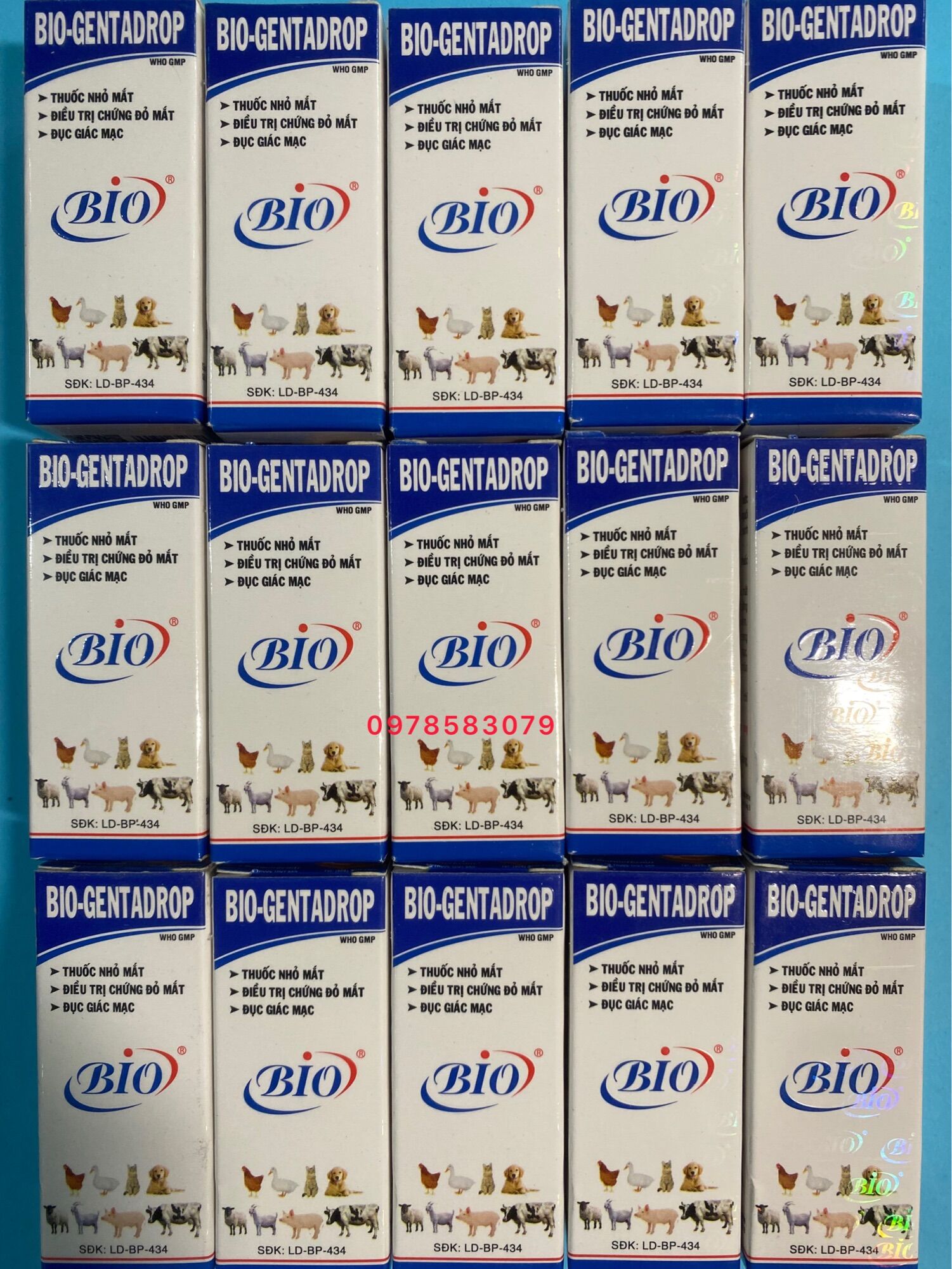 Bio Gentadrop(10ml) Gà đá, gà kiểng, thú cảnh có bọt mắt, sùi bọt, đau mắt dùng trong Thú Y