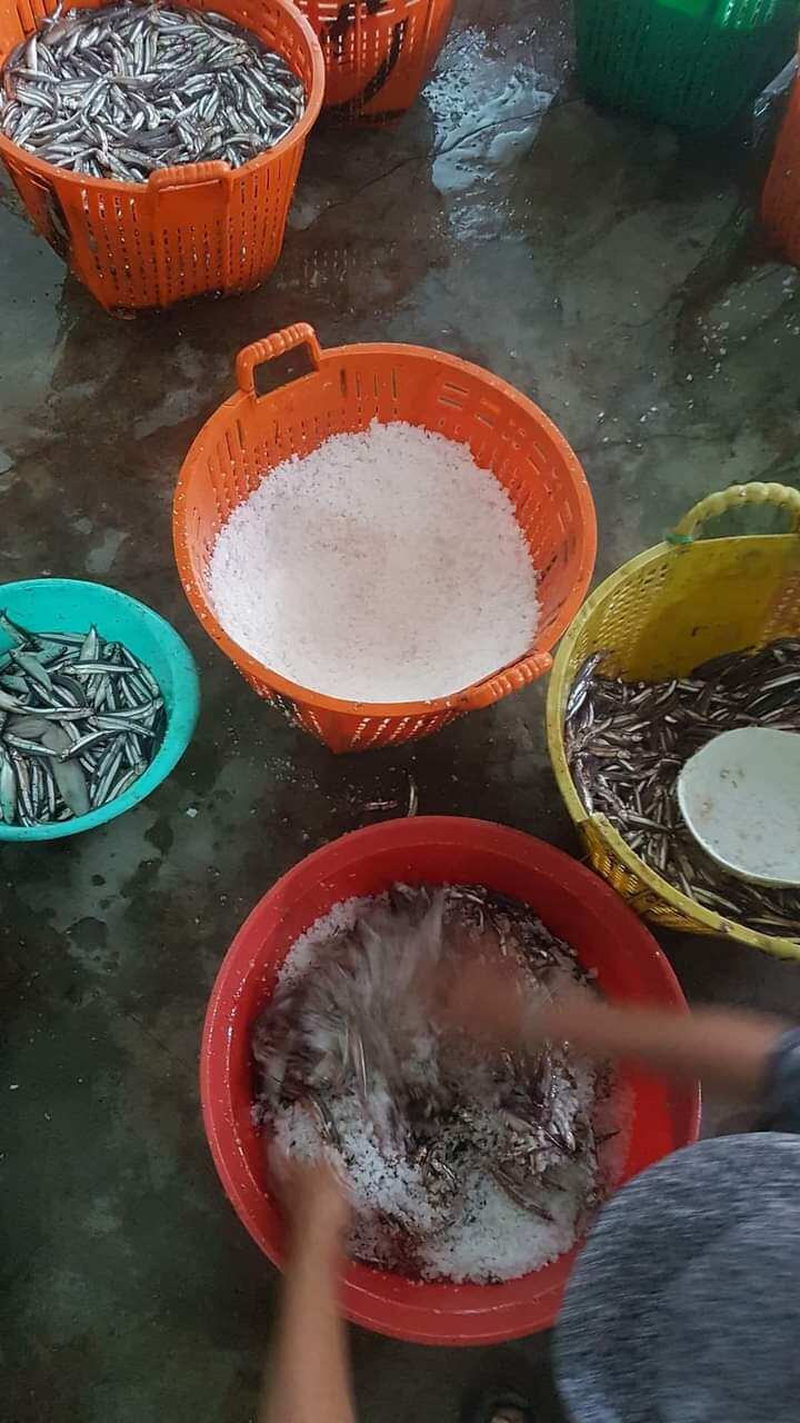 Mắn nhĩ cá cơm- Đặc sản Ninh Thuận